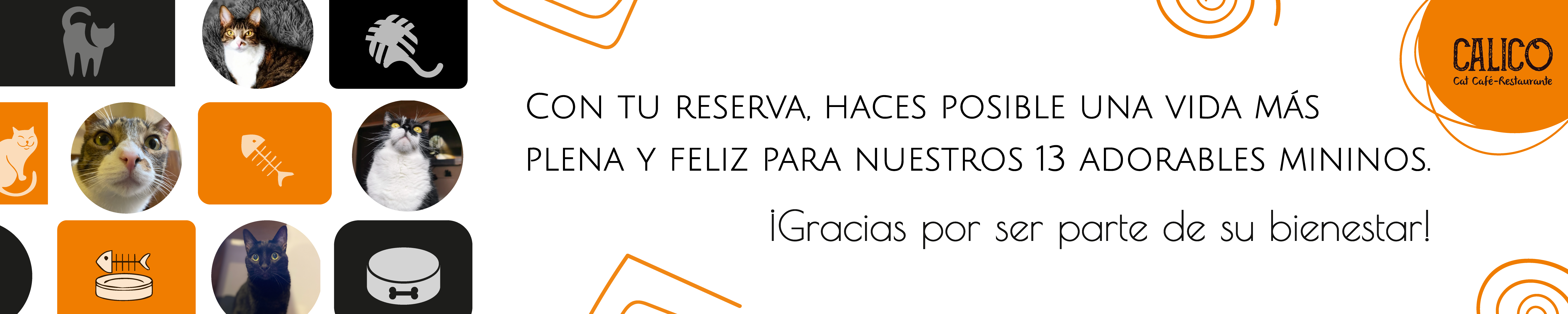 BANNER RESERVA CAT CAFE CALICO FOOTER-01-01