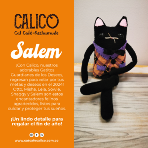 Gatito guardián Salem