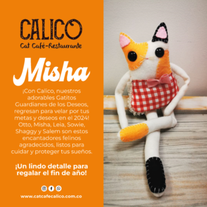 Gatito guardián Misha