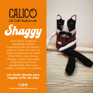 Gatito guardián Shaggy